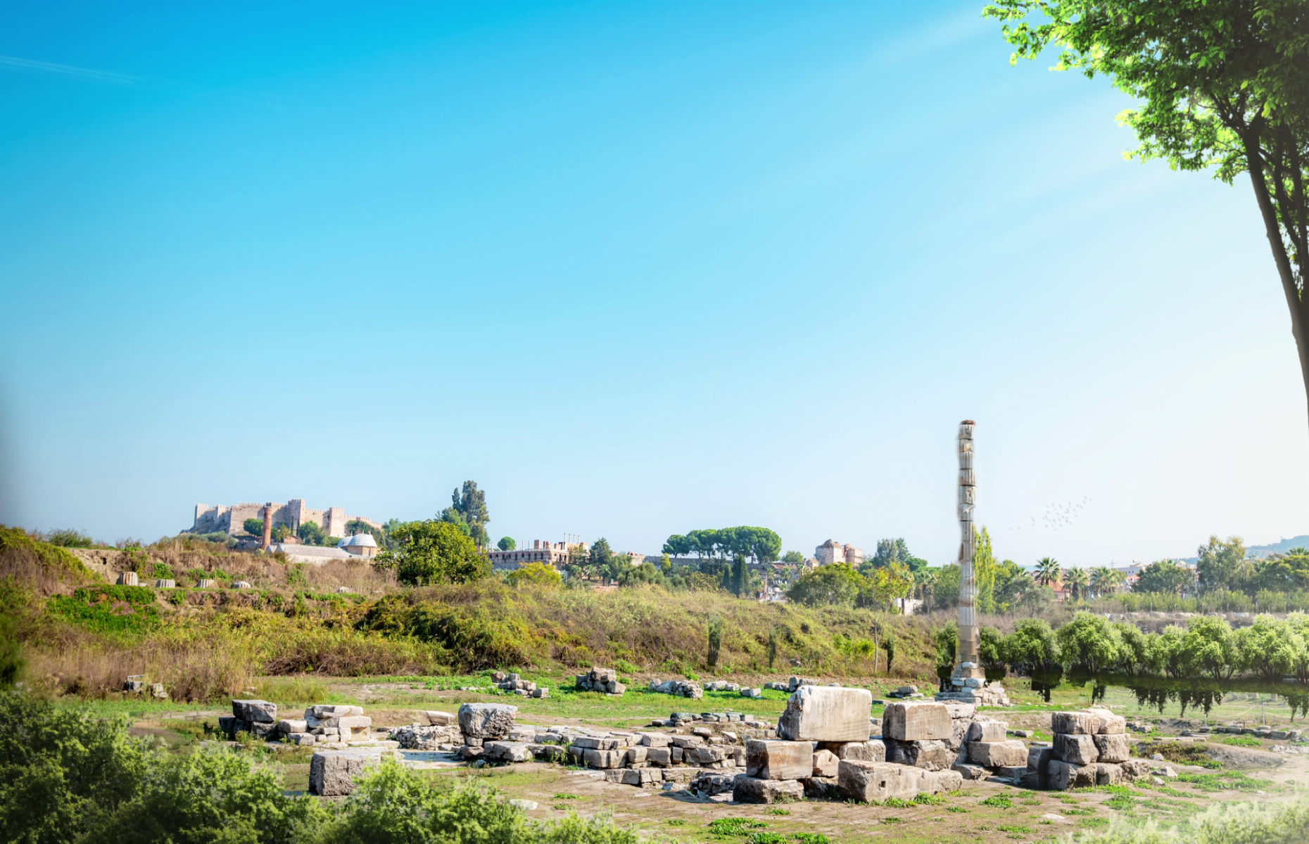 Heute: Tempel der Artemis in Ephesus, Türkei