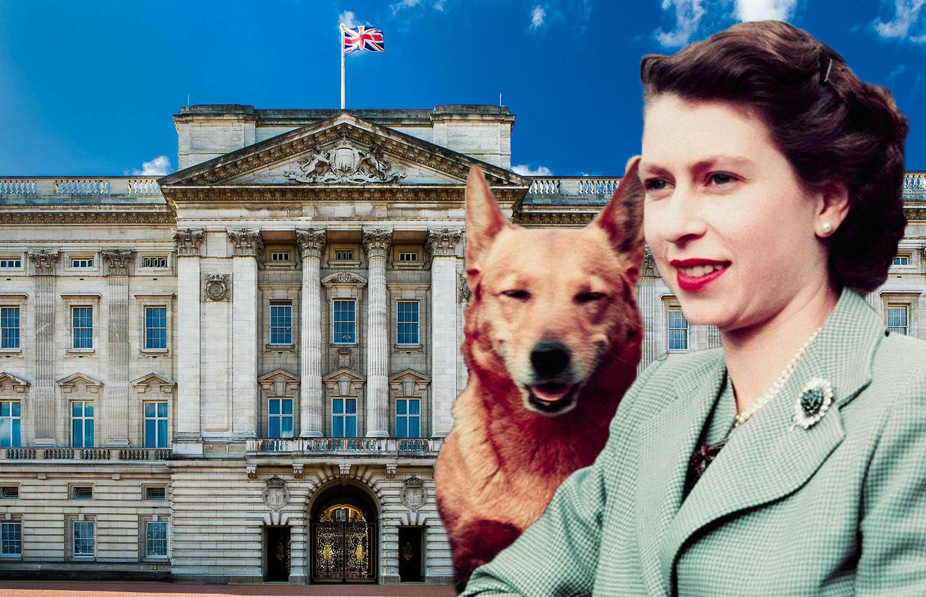 Meet the animal companions of the royal family
