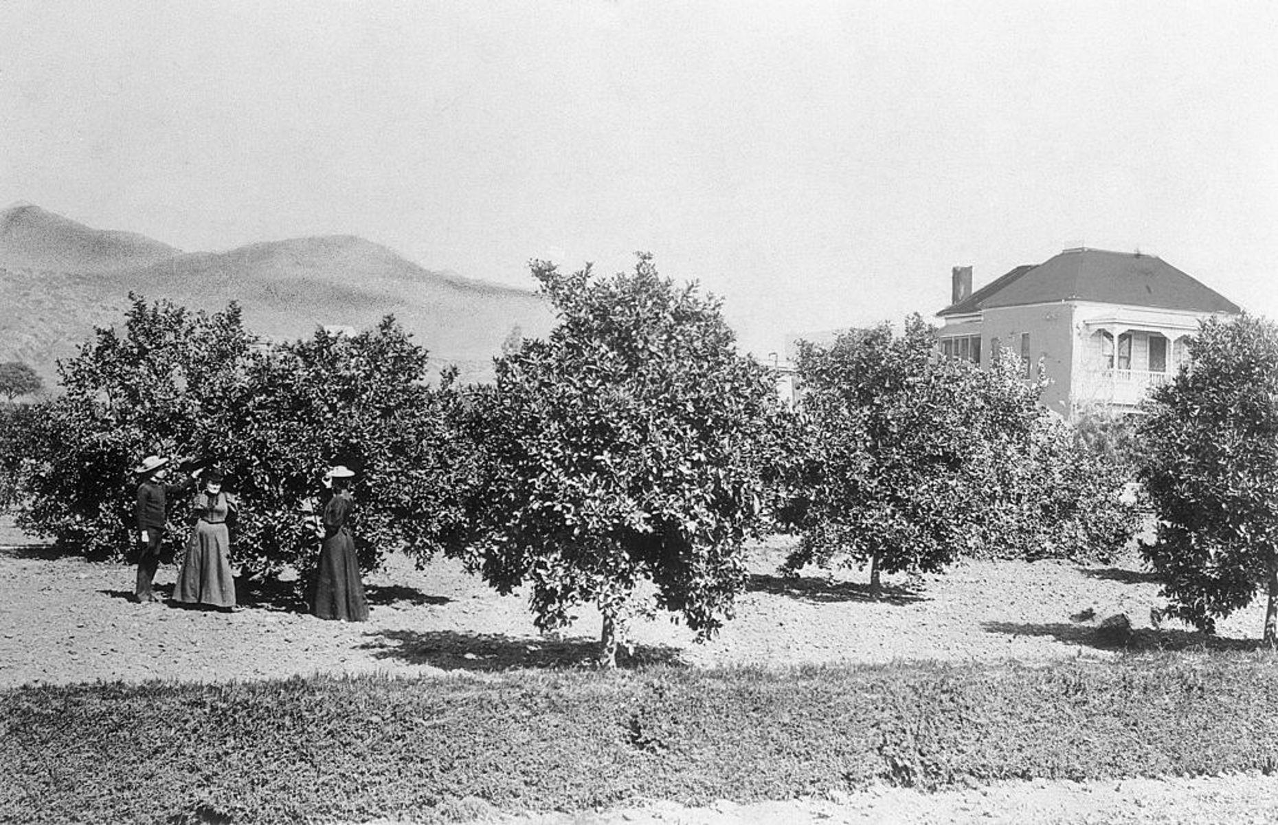 Hollywood, California, USA, circa 1880