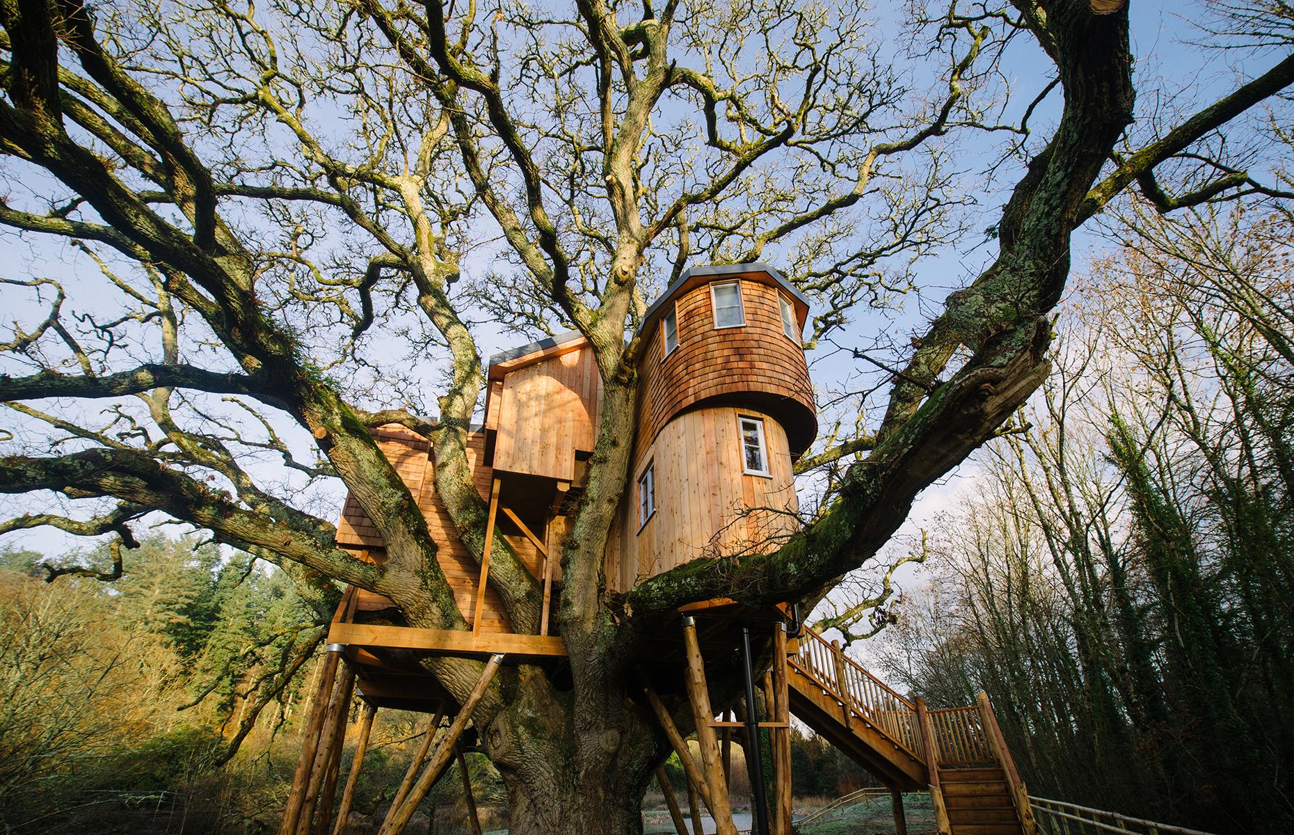 Tree house is