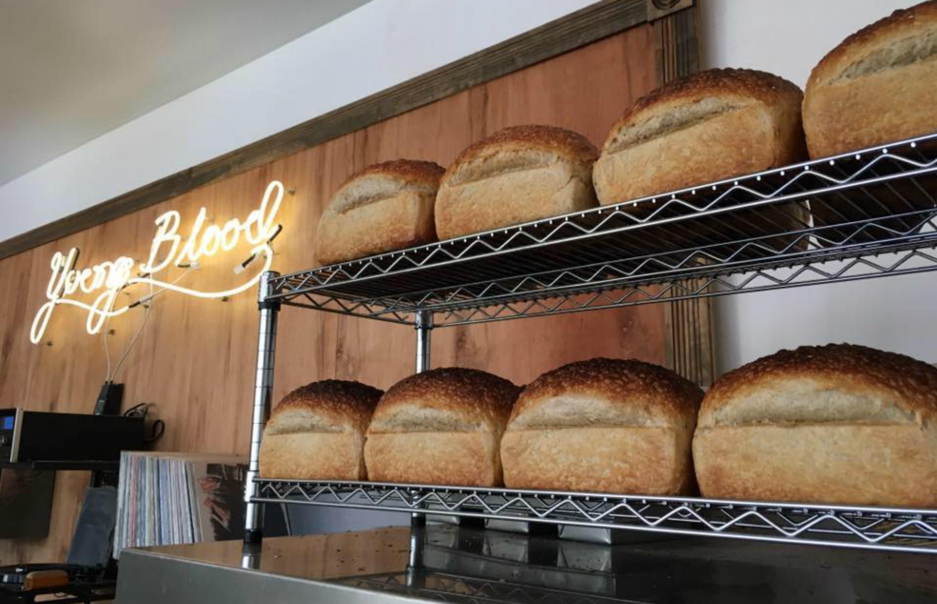 North Dakota: Youngblood Coffee, Fargo