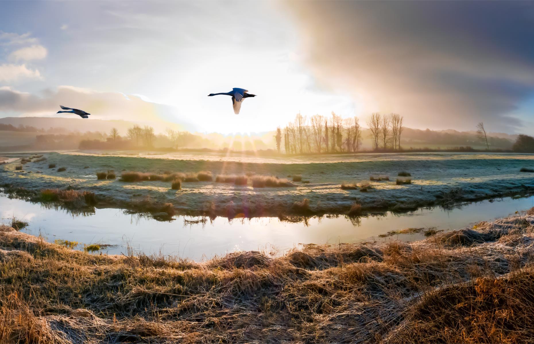 South Downs National Park, Hampshire, West Sussex & East Sussex, England