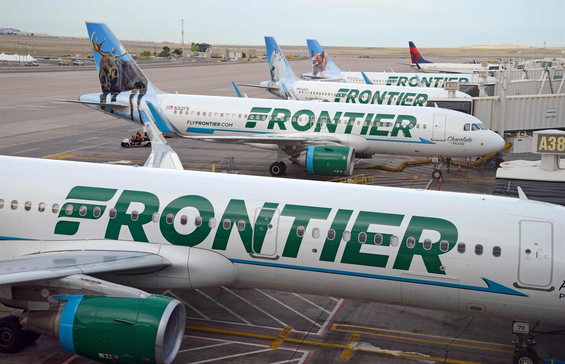 Airline launches Netflix-style annual subscription