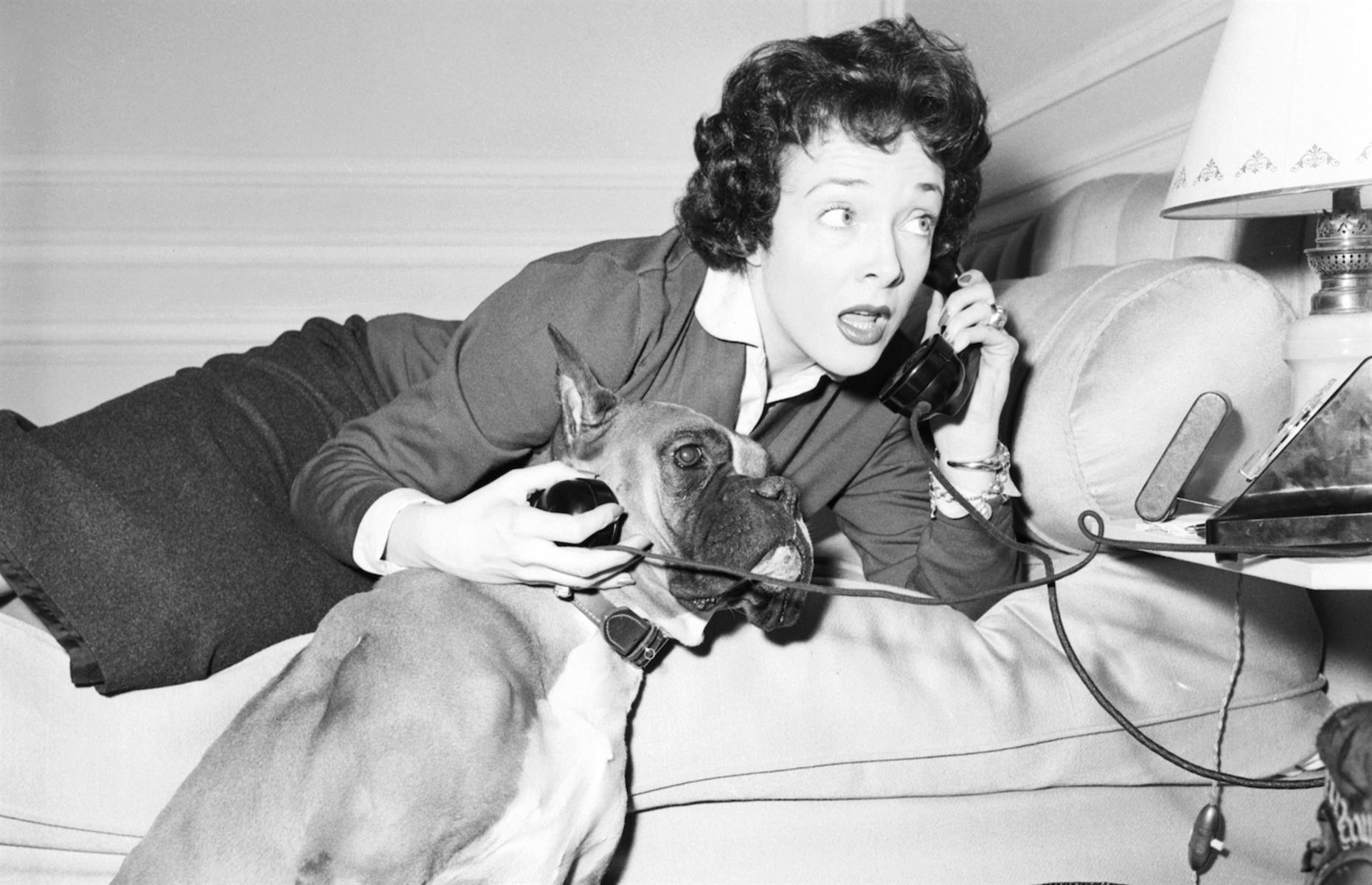 1953: Micheline Presle at home with her boxer dog