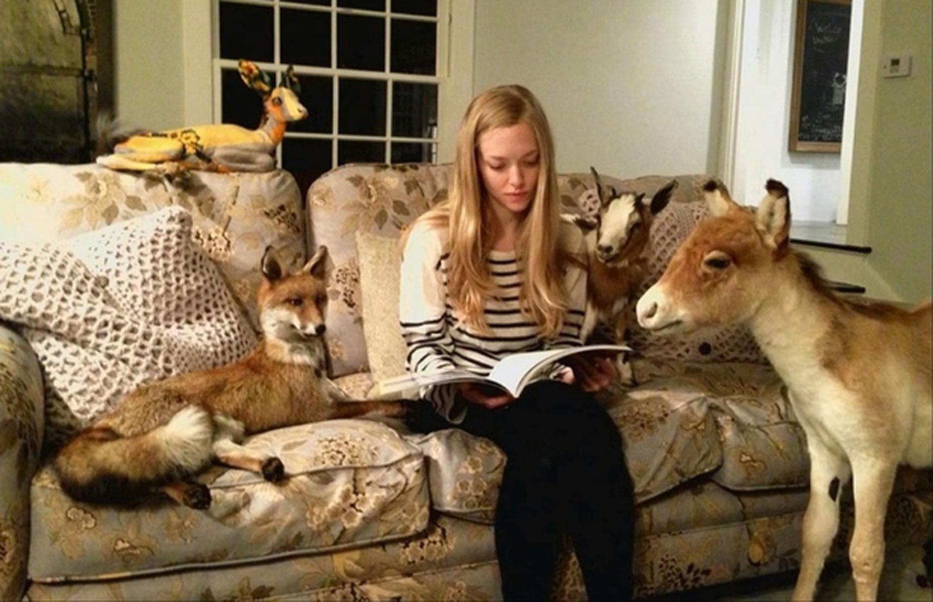 Kooky pastimes you won't believe