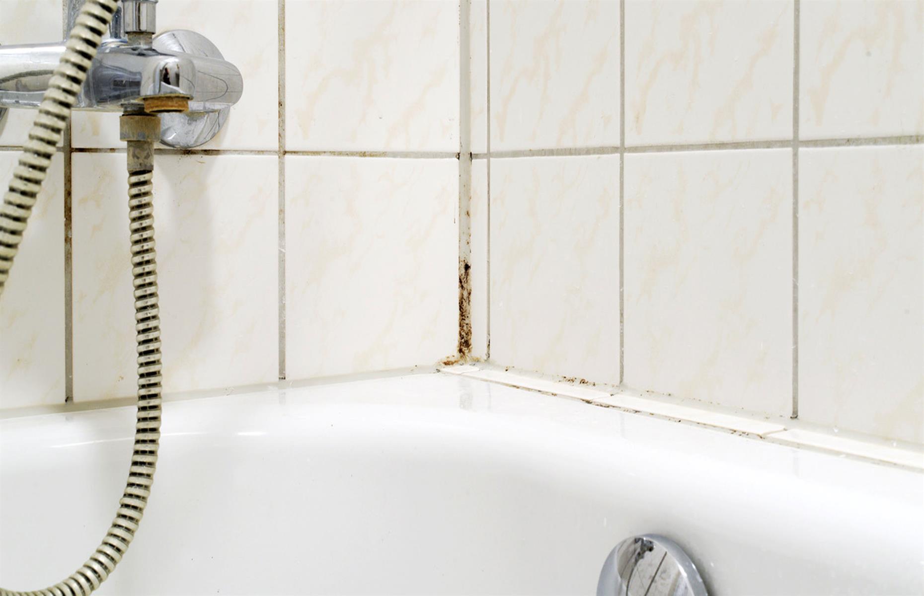 Deal with mould