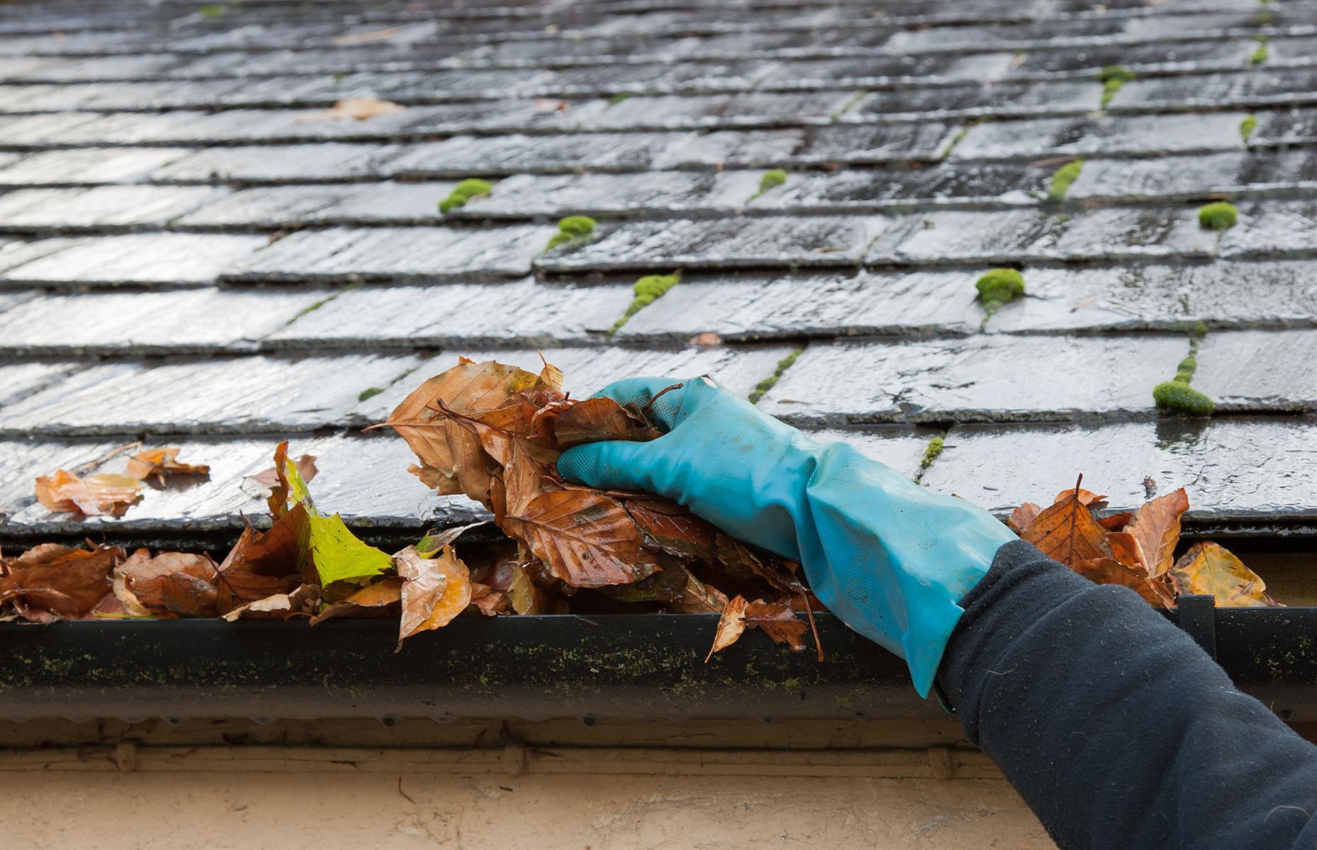 Clear gutters