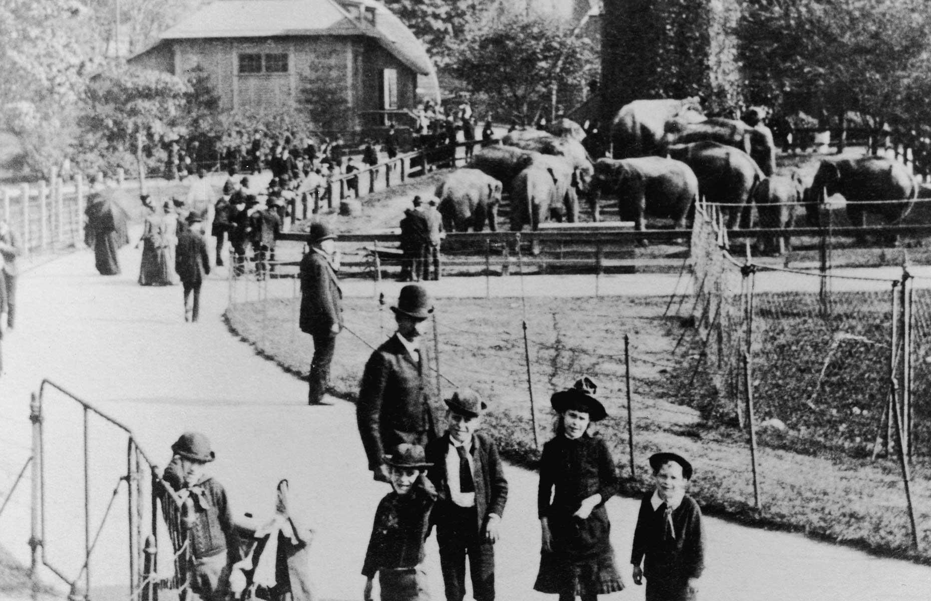 Then: Central Park, New York 