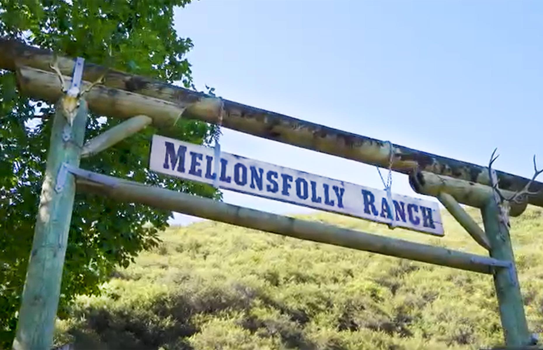 Rob Bartley's Mellonsfolly Ranch, New Zealand