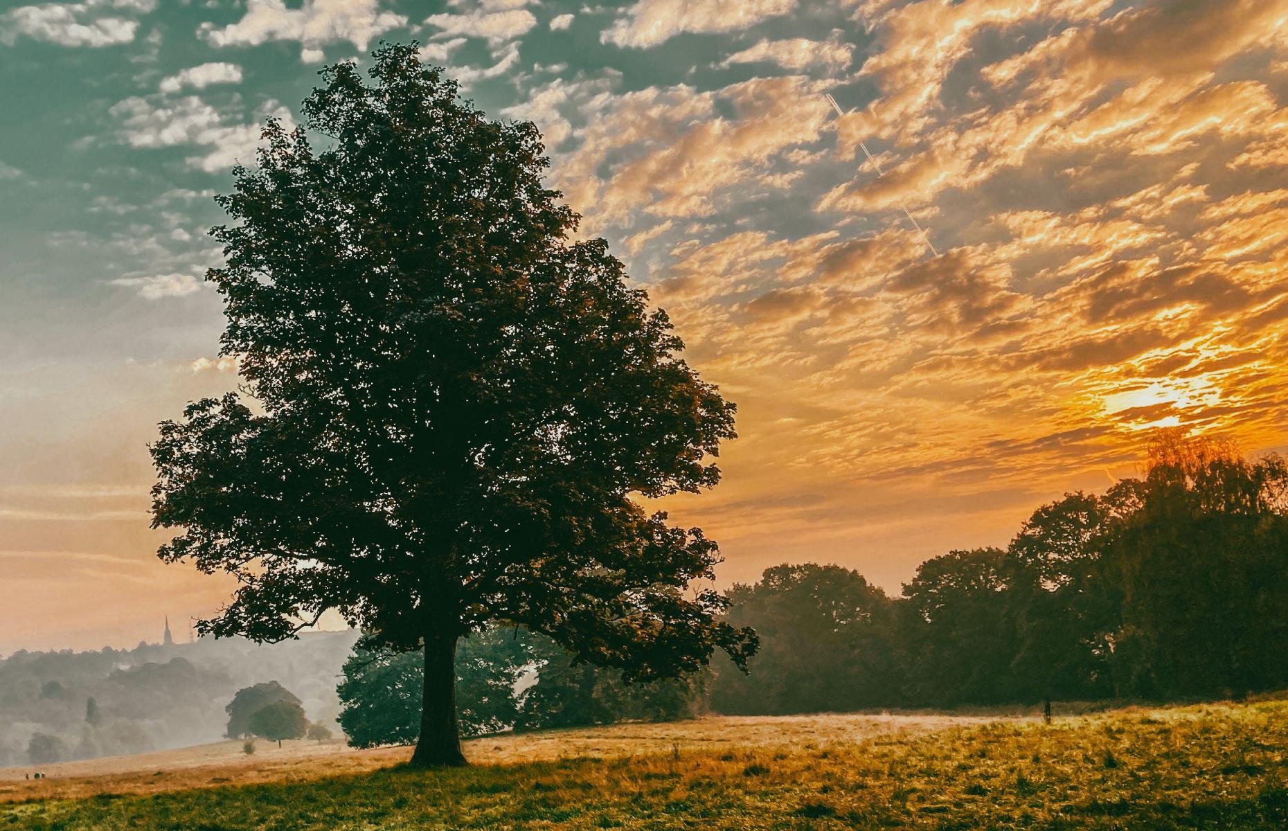 Hampstead Heath, London, England