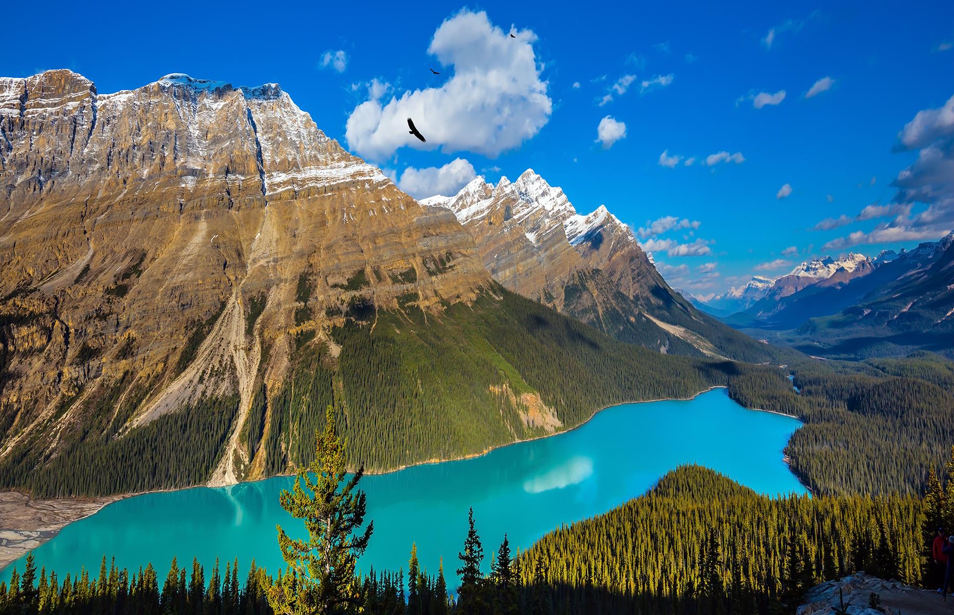 Peyto Lake, Alberta