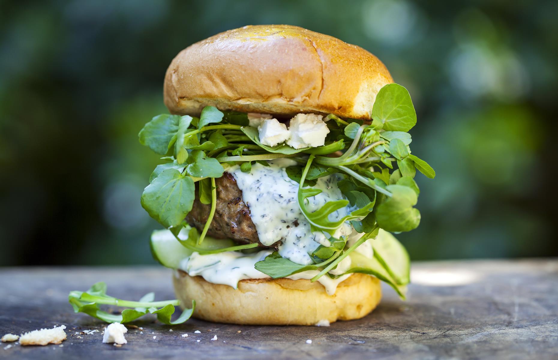 Lamb and harissa burgers