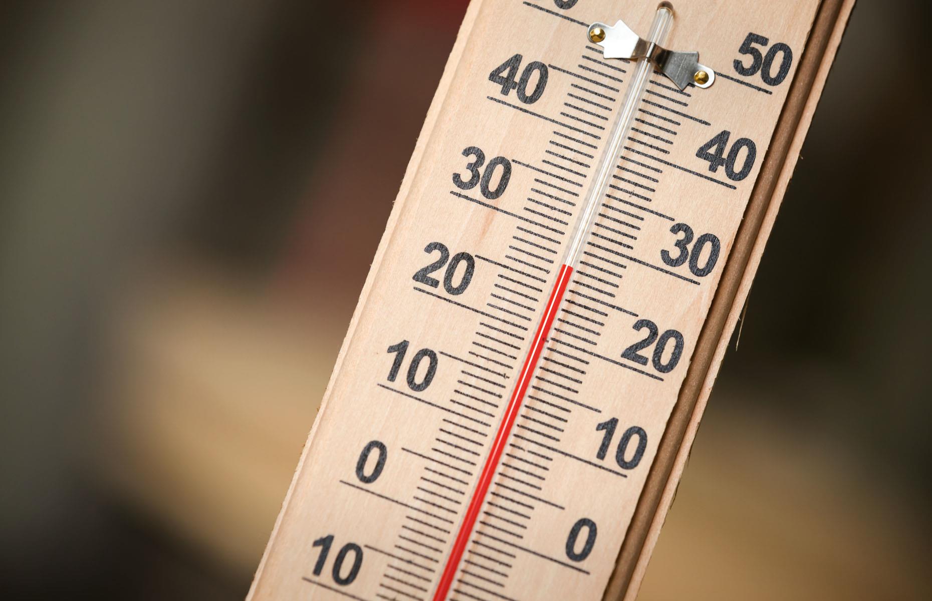 Check your kitchen's temperature