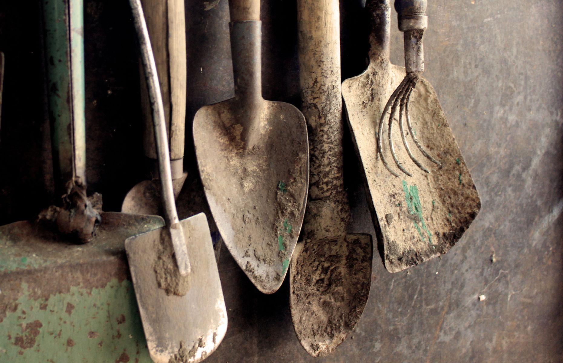 Clean garden tools thoroughly
