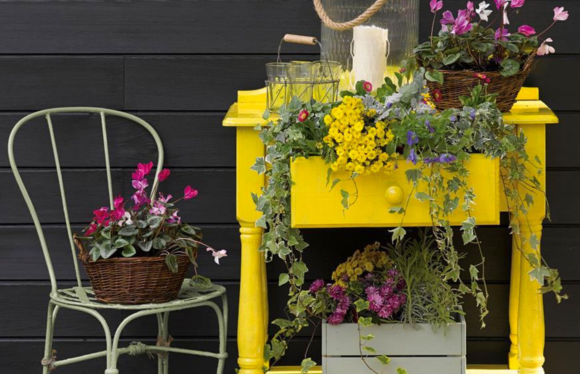 Outdoor plant dresser