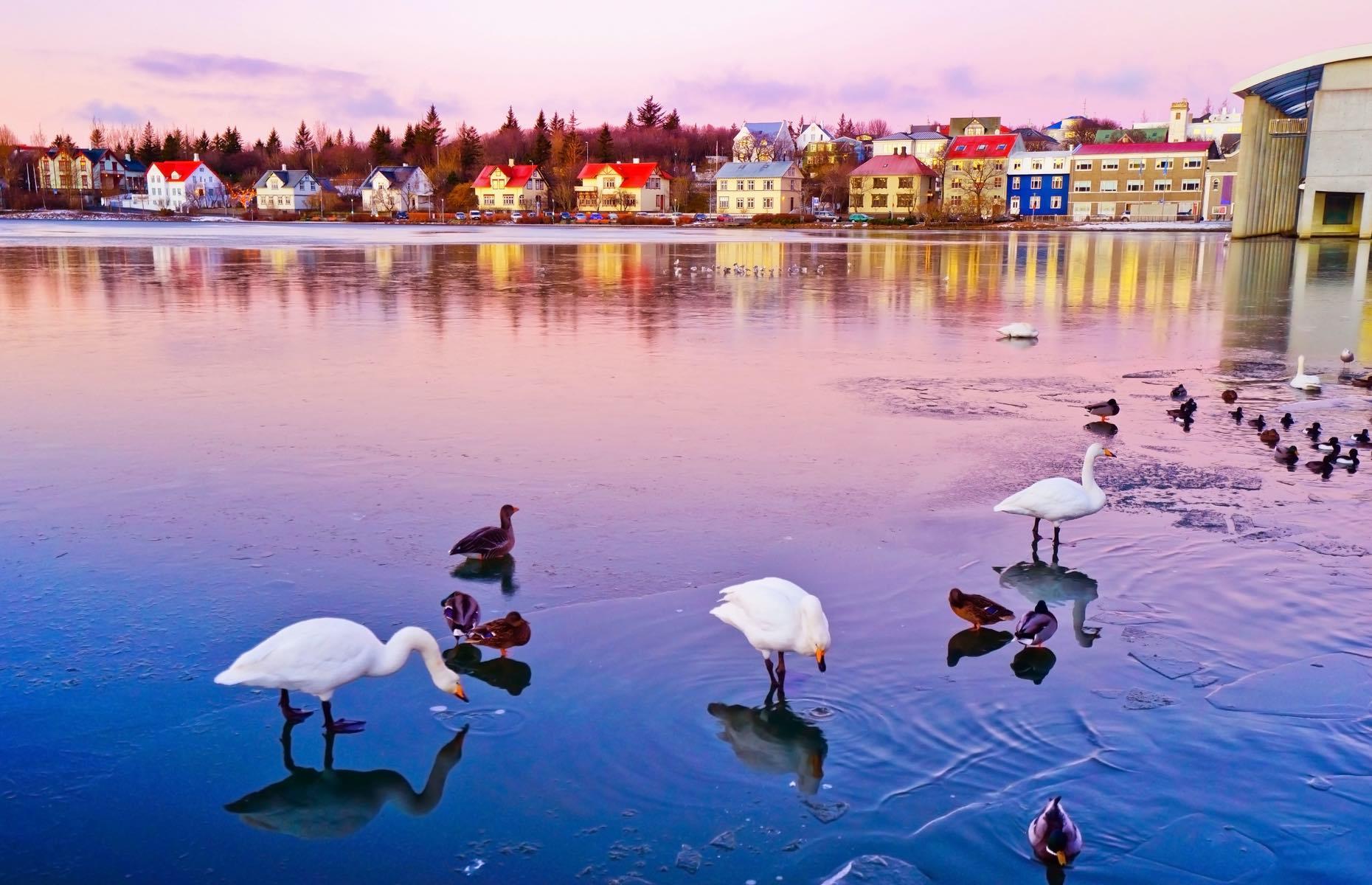 Reykjavík: to explore Iceland's Viking history