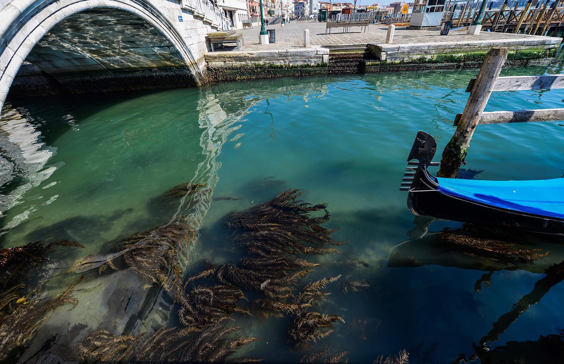 Canals are clearer in Venice, Italy