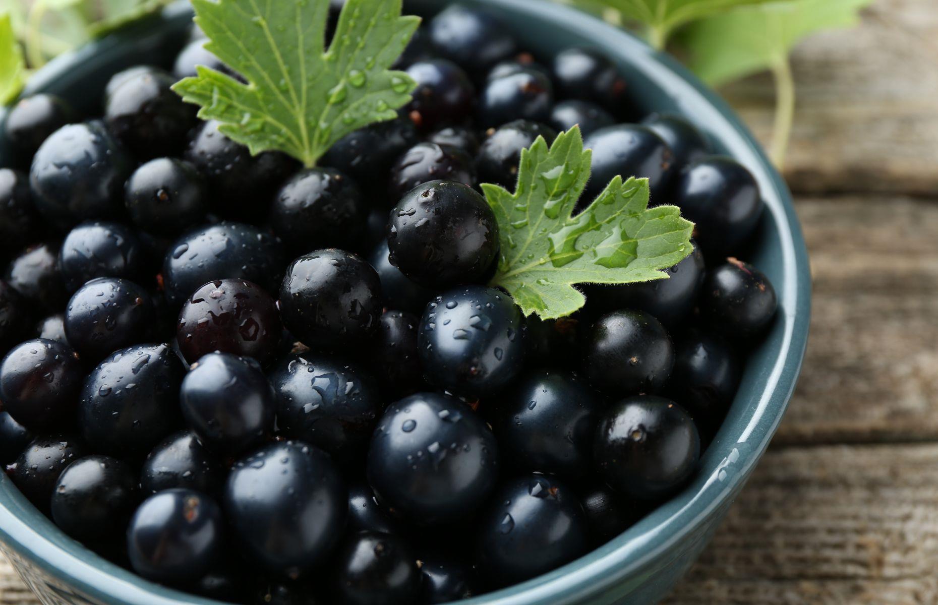 15. Blackcurrants
