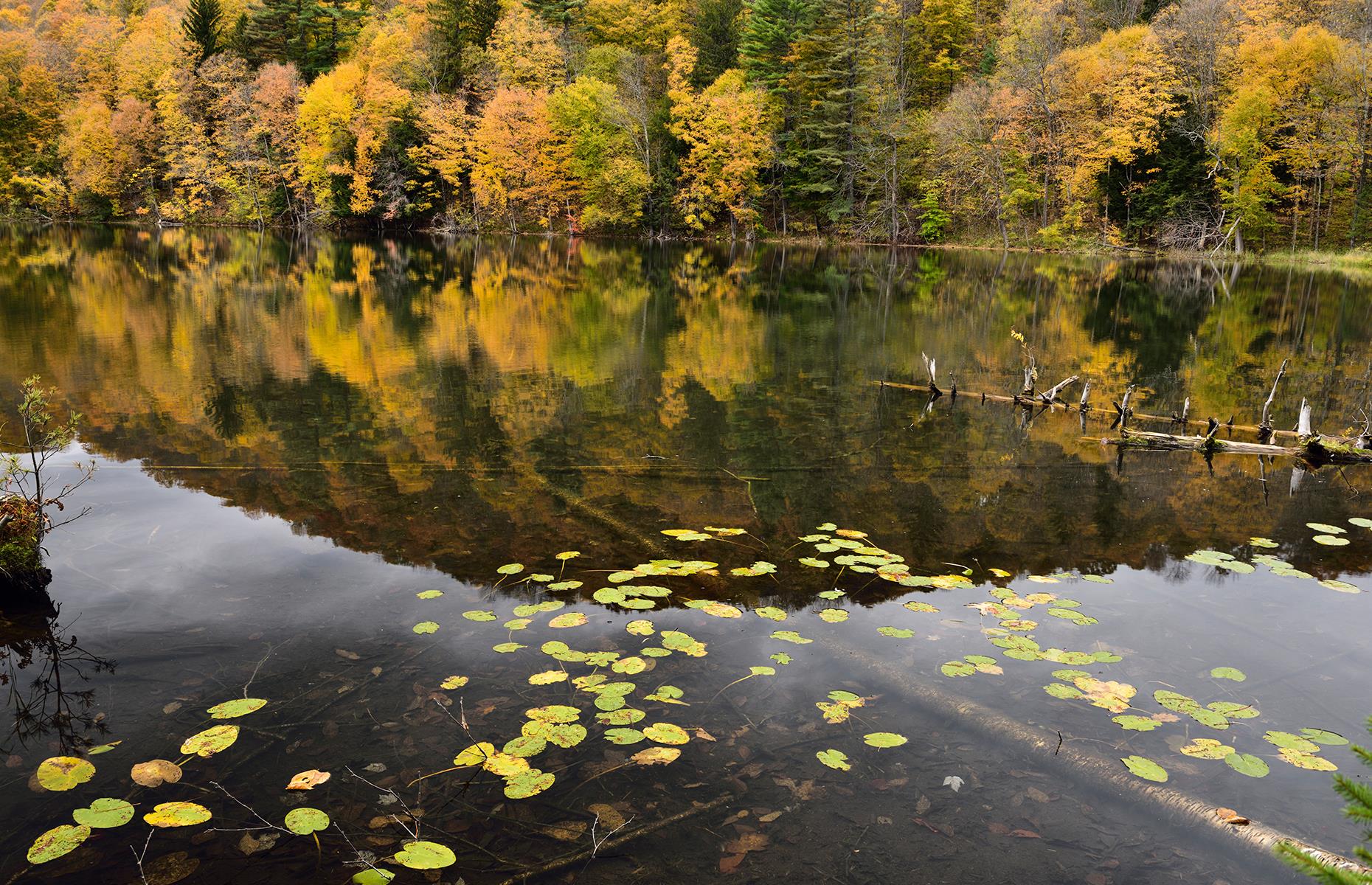 Vermont: Marsh-Billings-Rockefeller National Historical Park