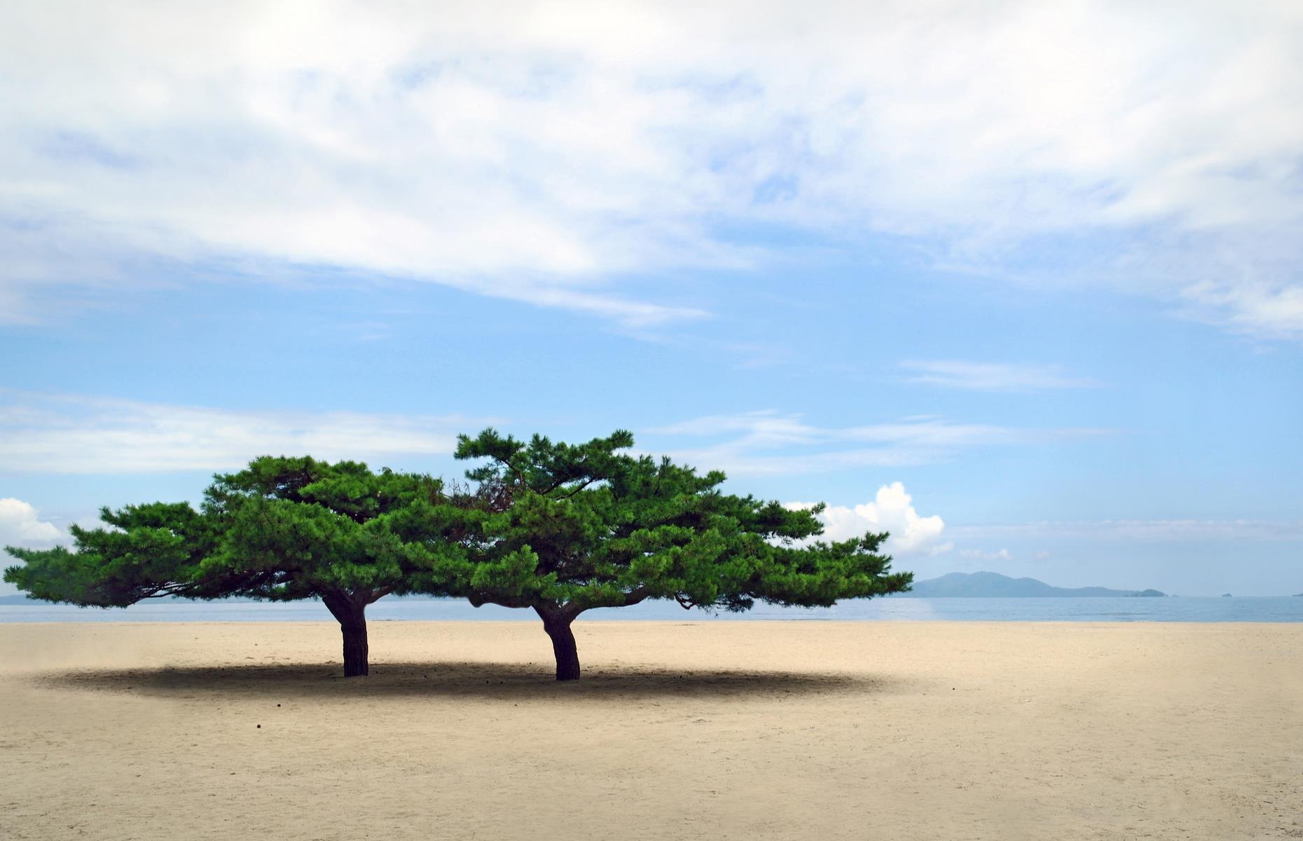 There are plans to build a major beach resort
