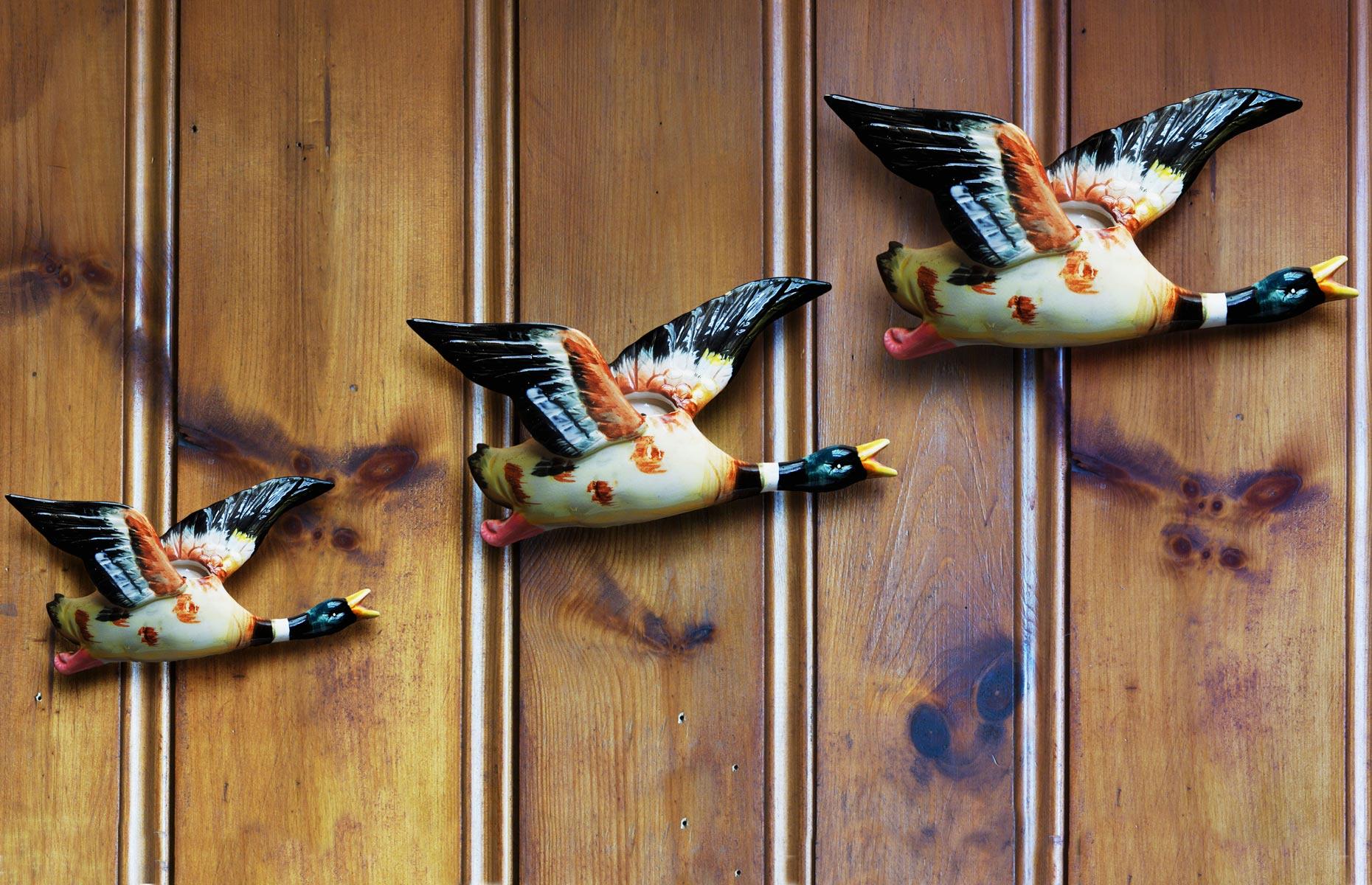 Flying ducks