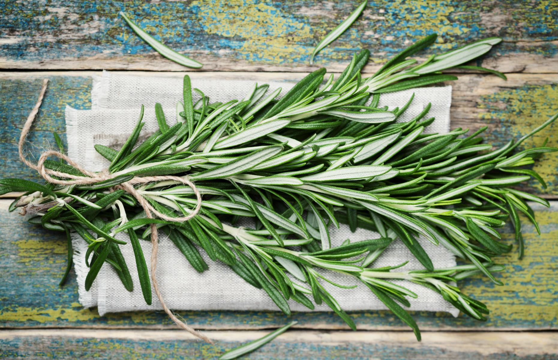 Rosemary 