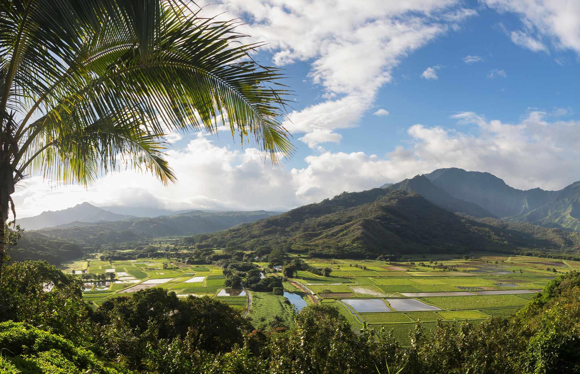 Billionaire bolthole: Hawaii