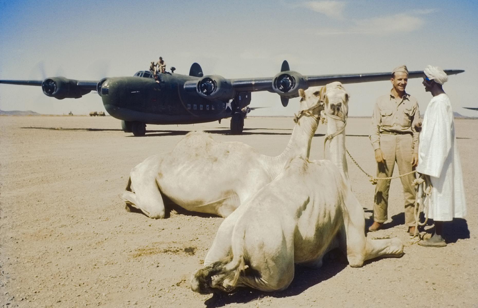 June 1943: camels sit on a runway in Maiduguri, Nigeria 