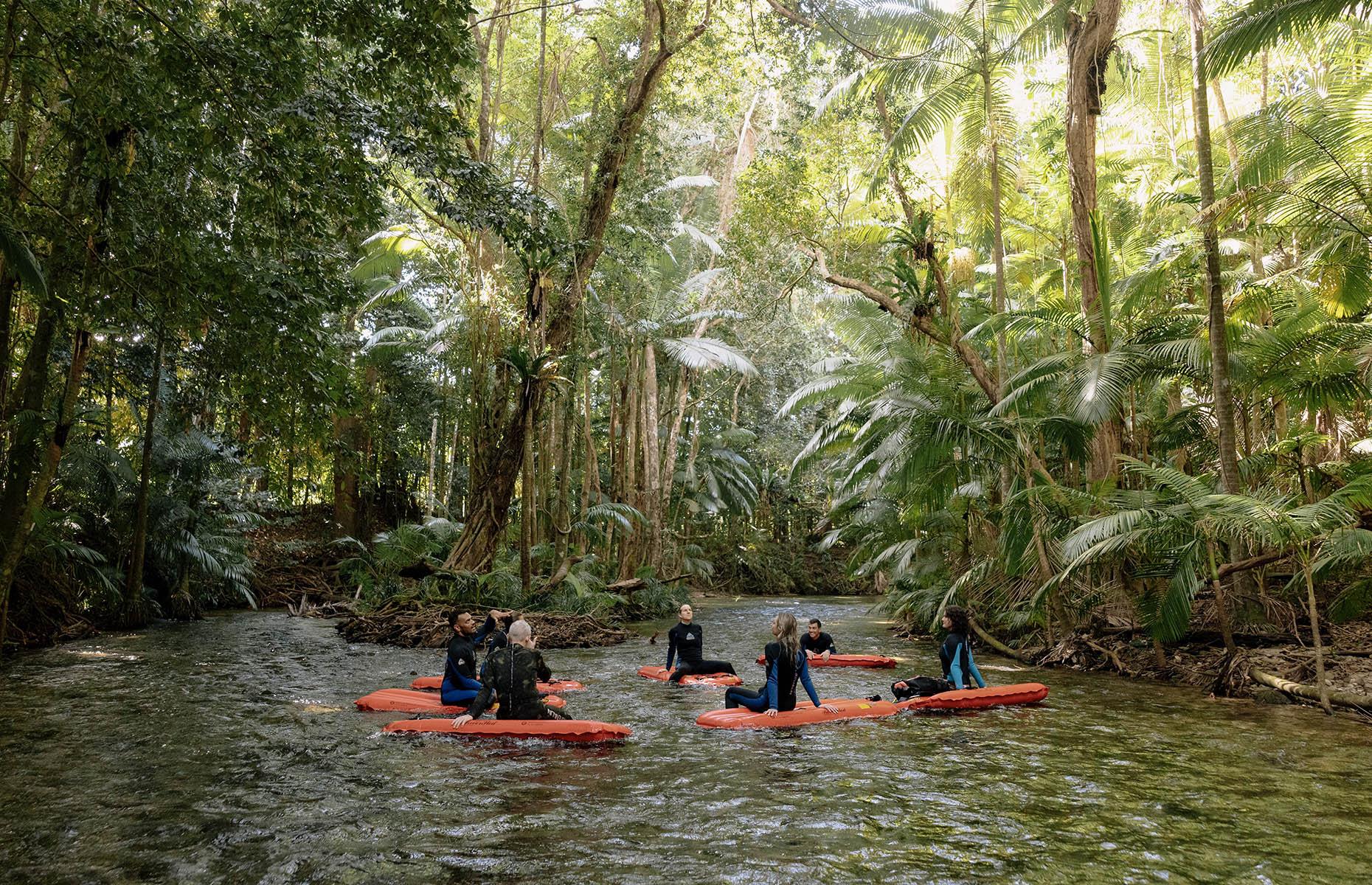 23: The Daintree rainforest