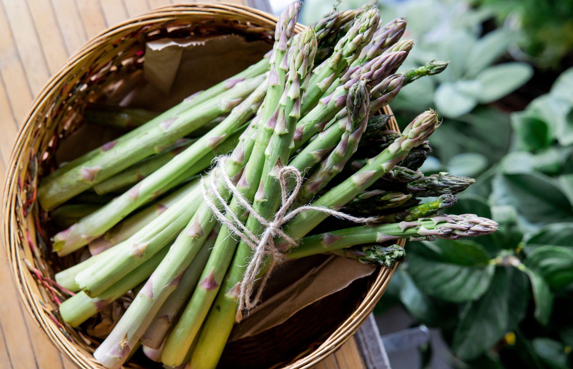 15. Asparagus