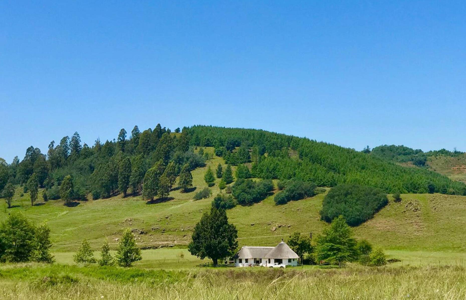 Splashy Fen Cottage, KwaZulu-Natal, South Africa