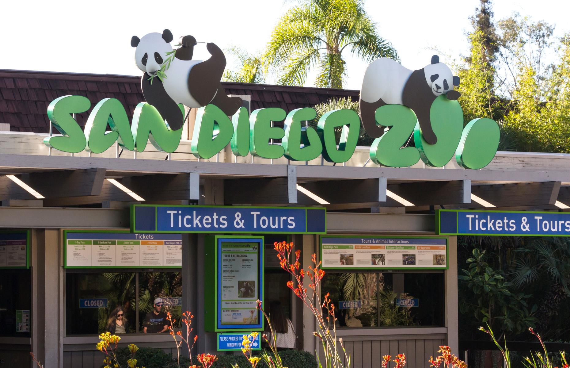 Give San Diego Zoo a miss and head to California's Lions, Tigers and Bears