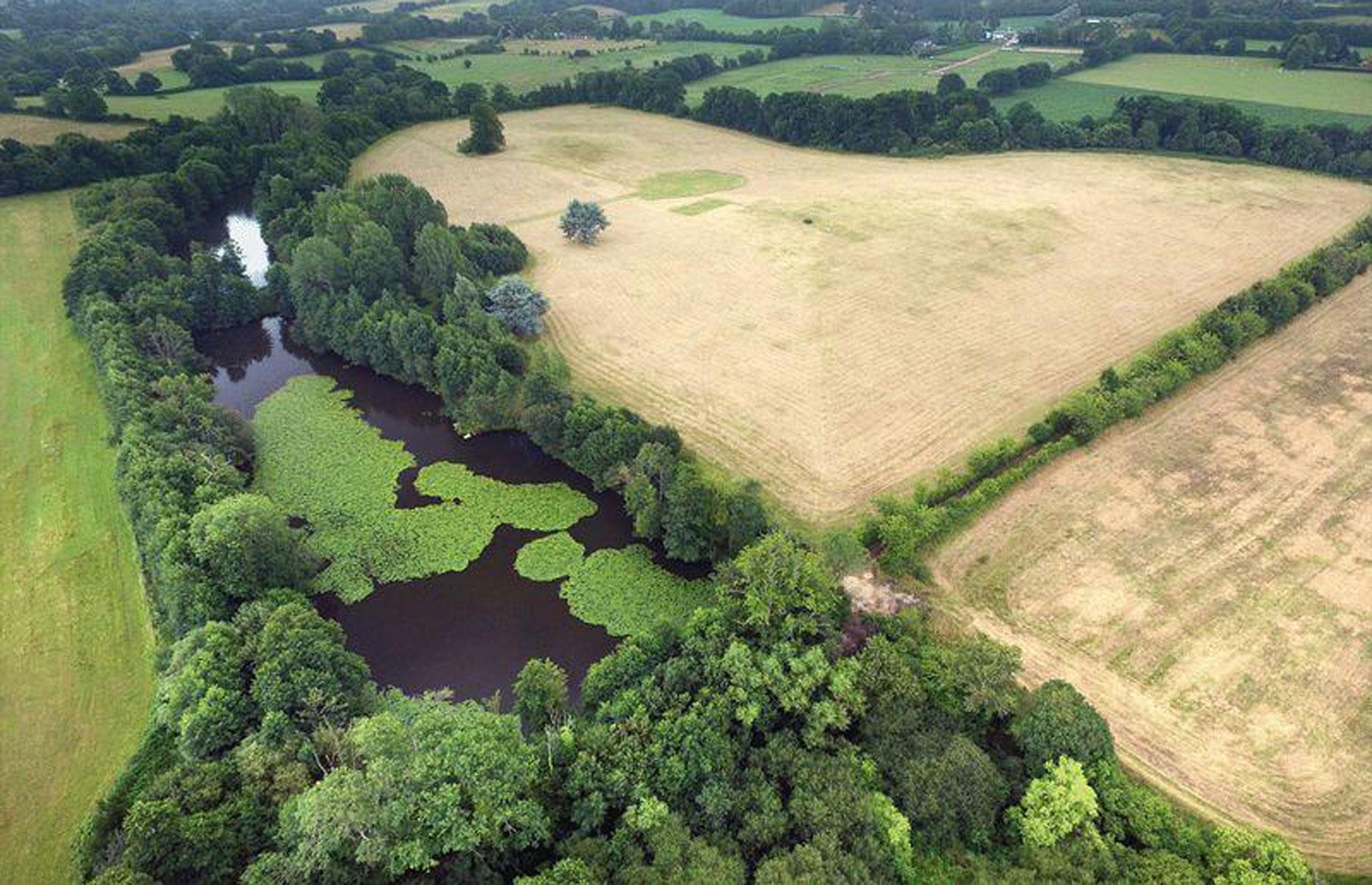 Wishing Park Estate, Frensham, Großbritannien