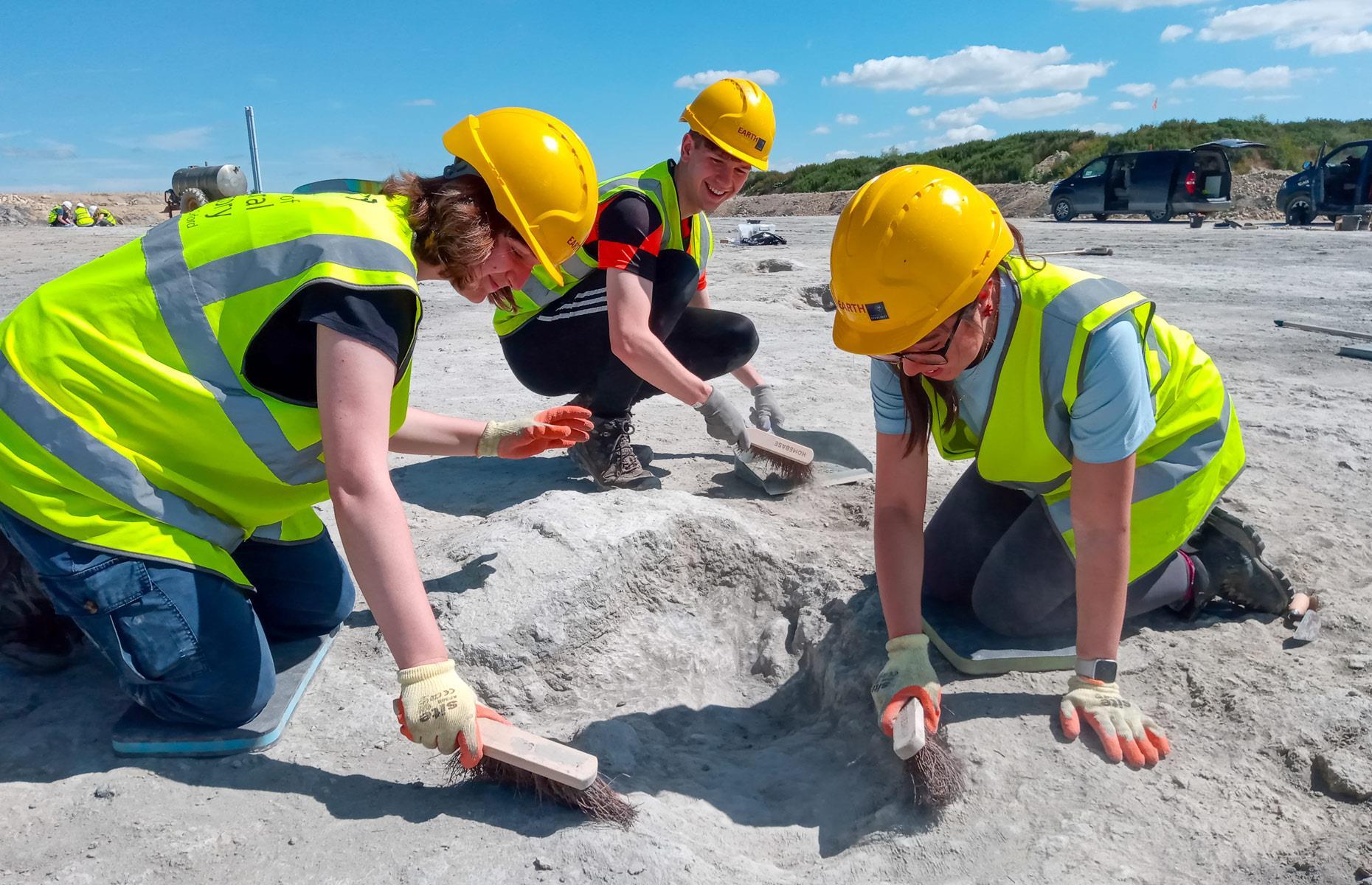 The UK's largest-ever dinosaur footprint site