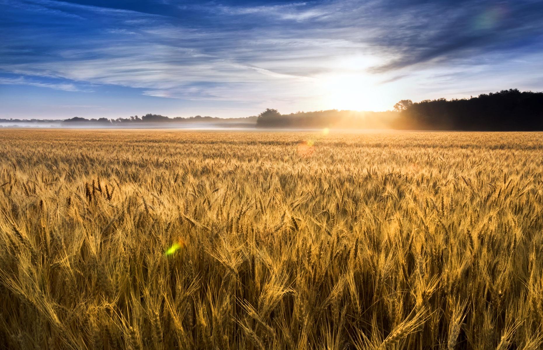 7. Kansas: $23.1 billion