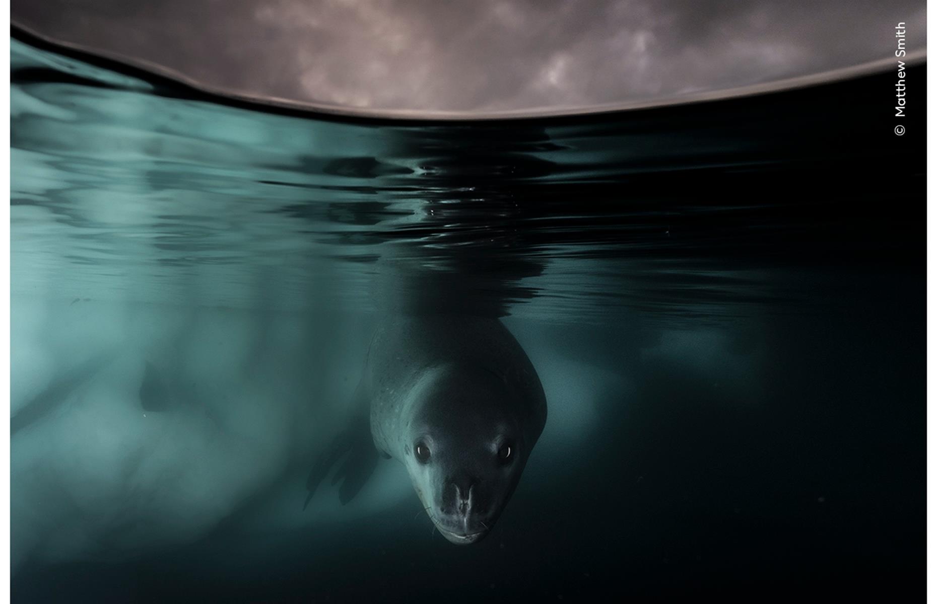 Under the Waterline