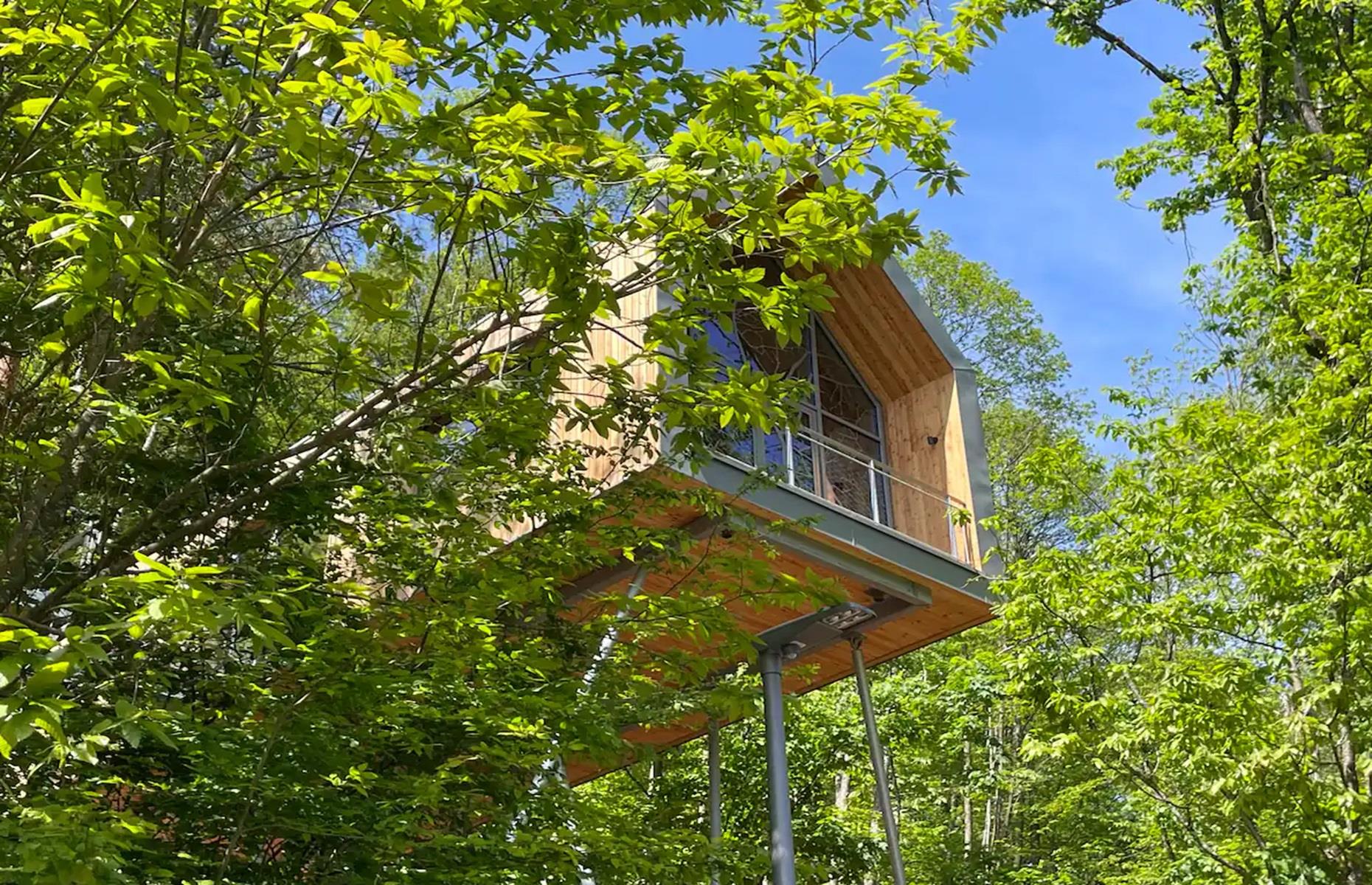 Modern treehouse, Rhineland-Palatinate, Germany