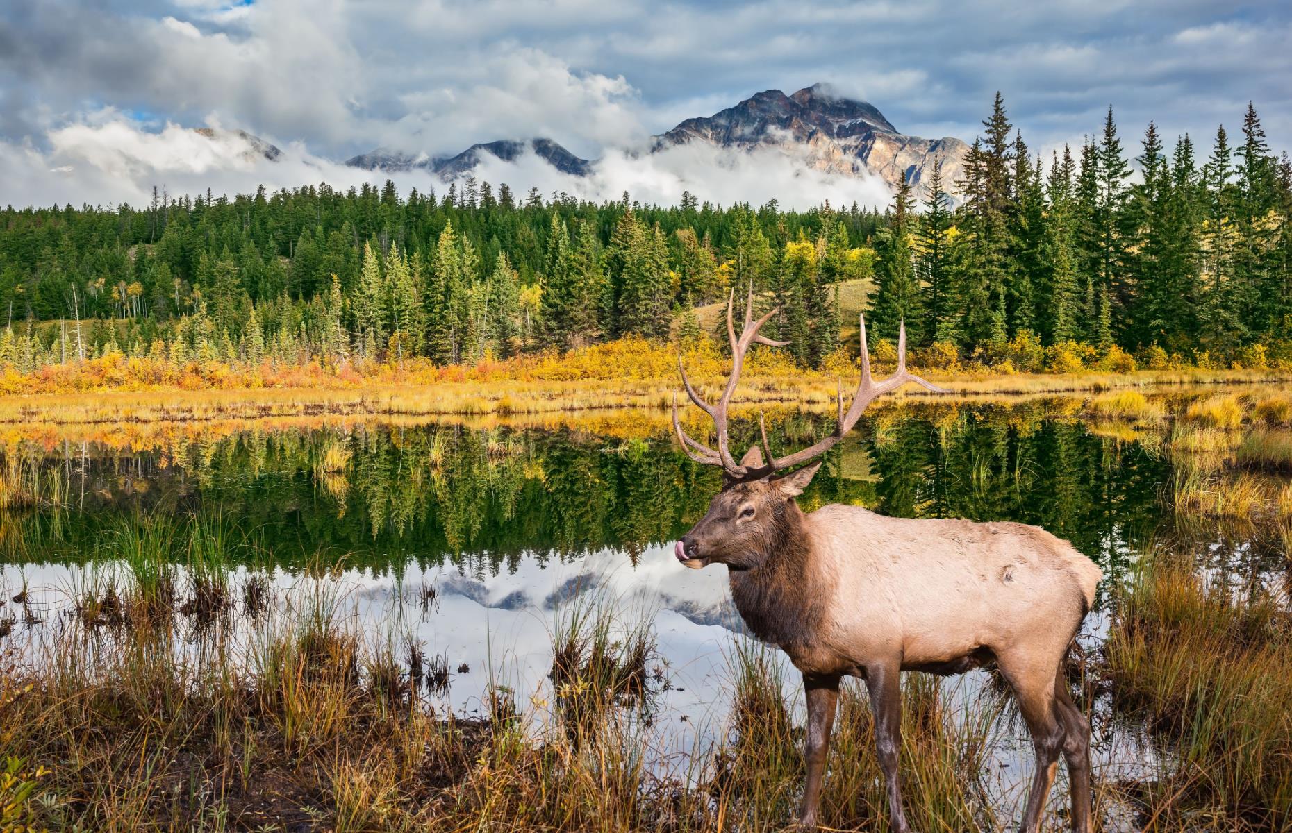 Some of Canada’s parks are bigger than entire countries