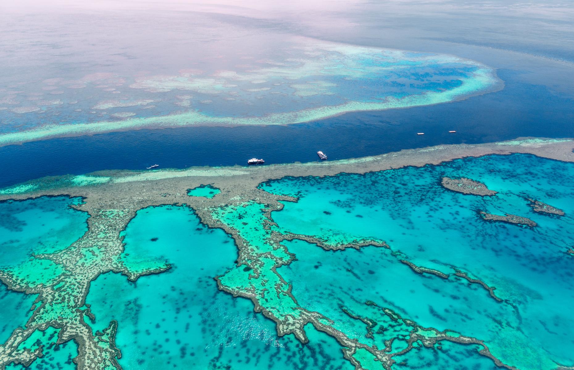 Great Barrier Reef, near Queensland, Australia