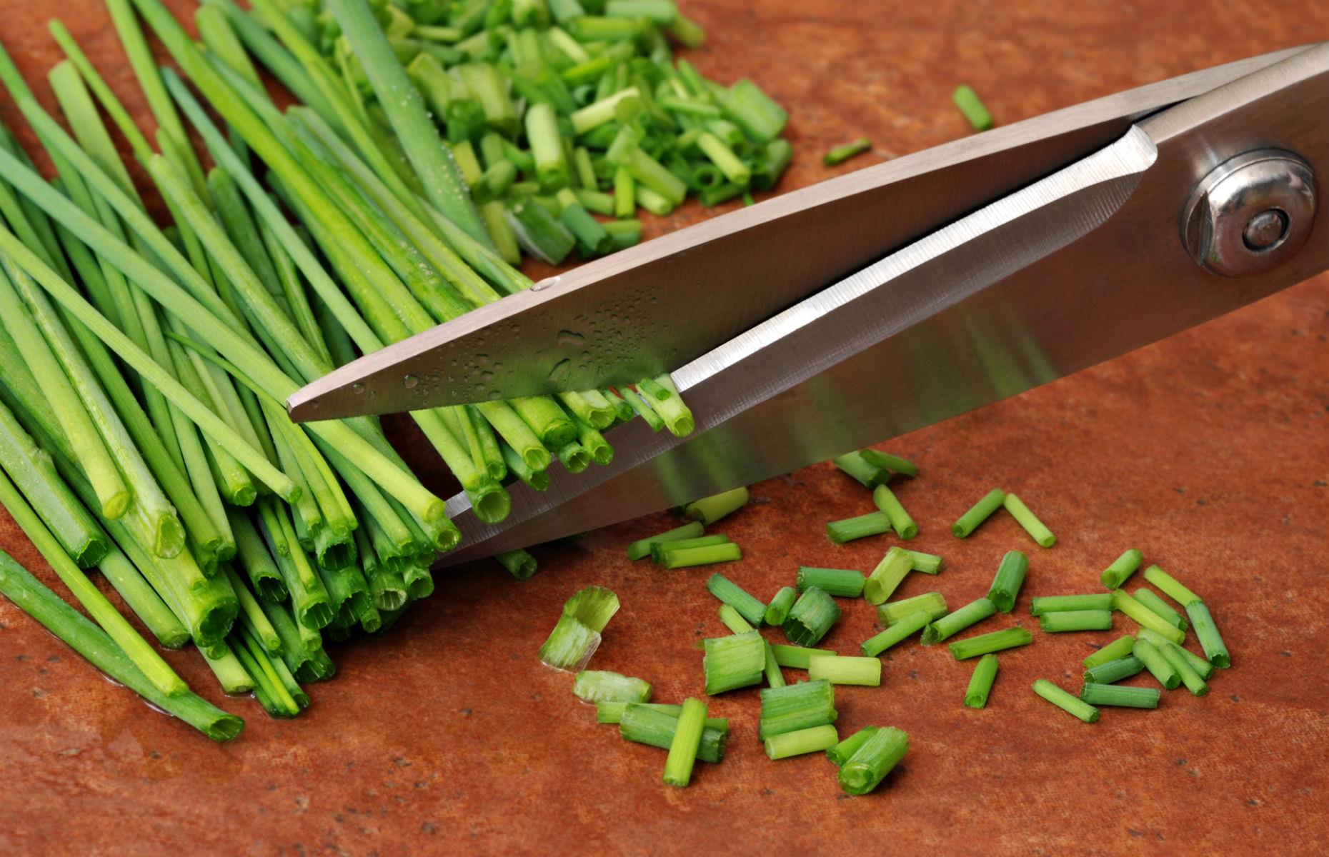 Kitchen scissors