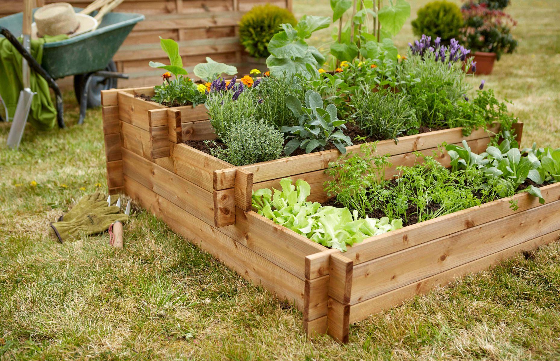 Clever tricks and gardening tips