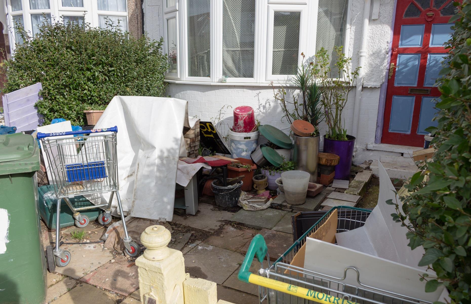 An untidy garden