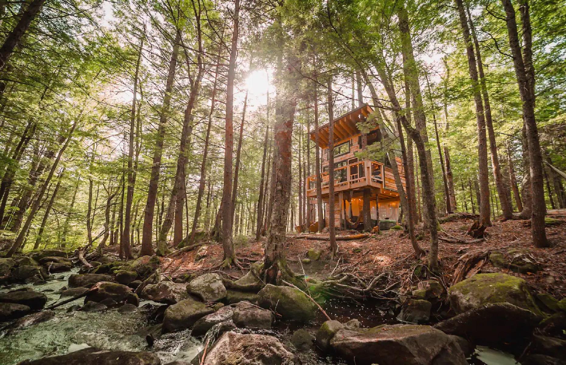 Casa del árbol en el bosque, Vermont, Estados Unidos