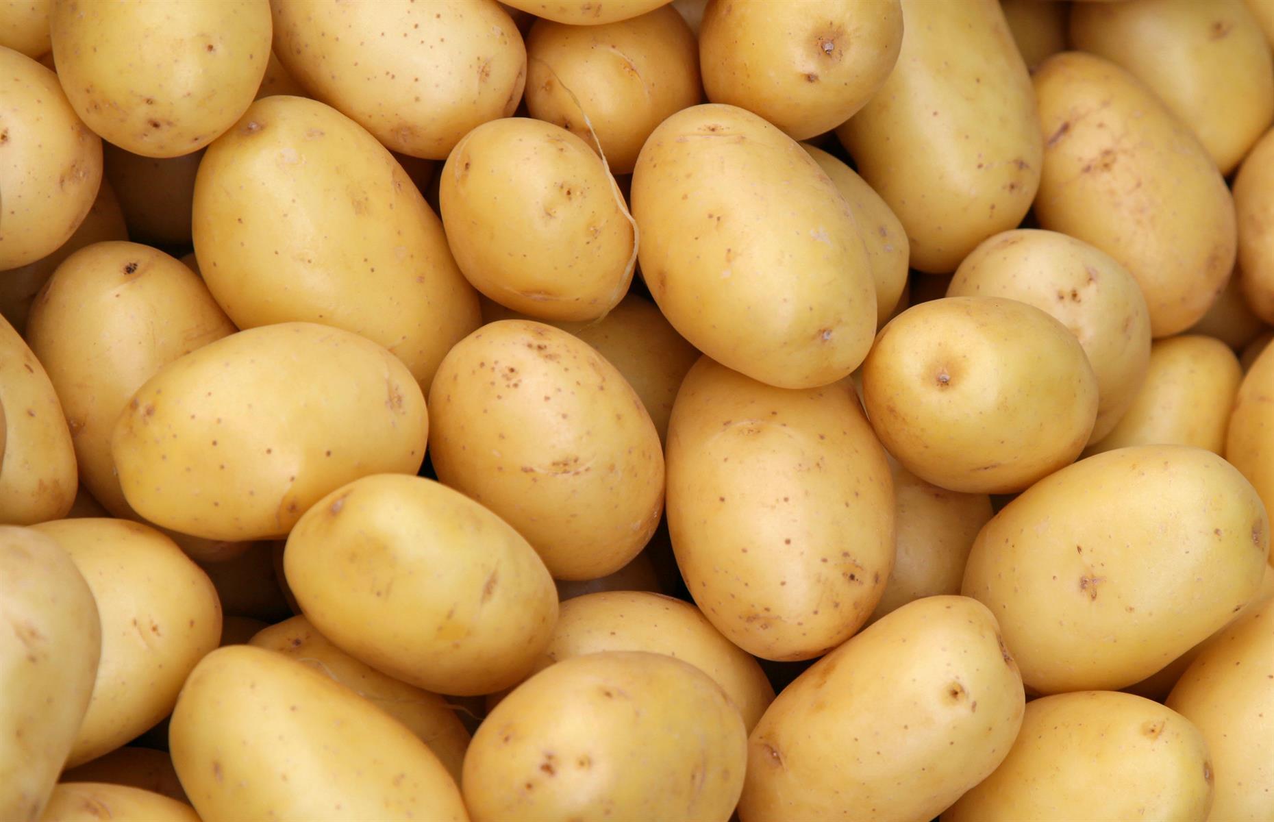 Potatoes