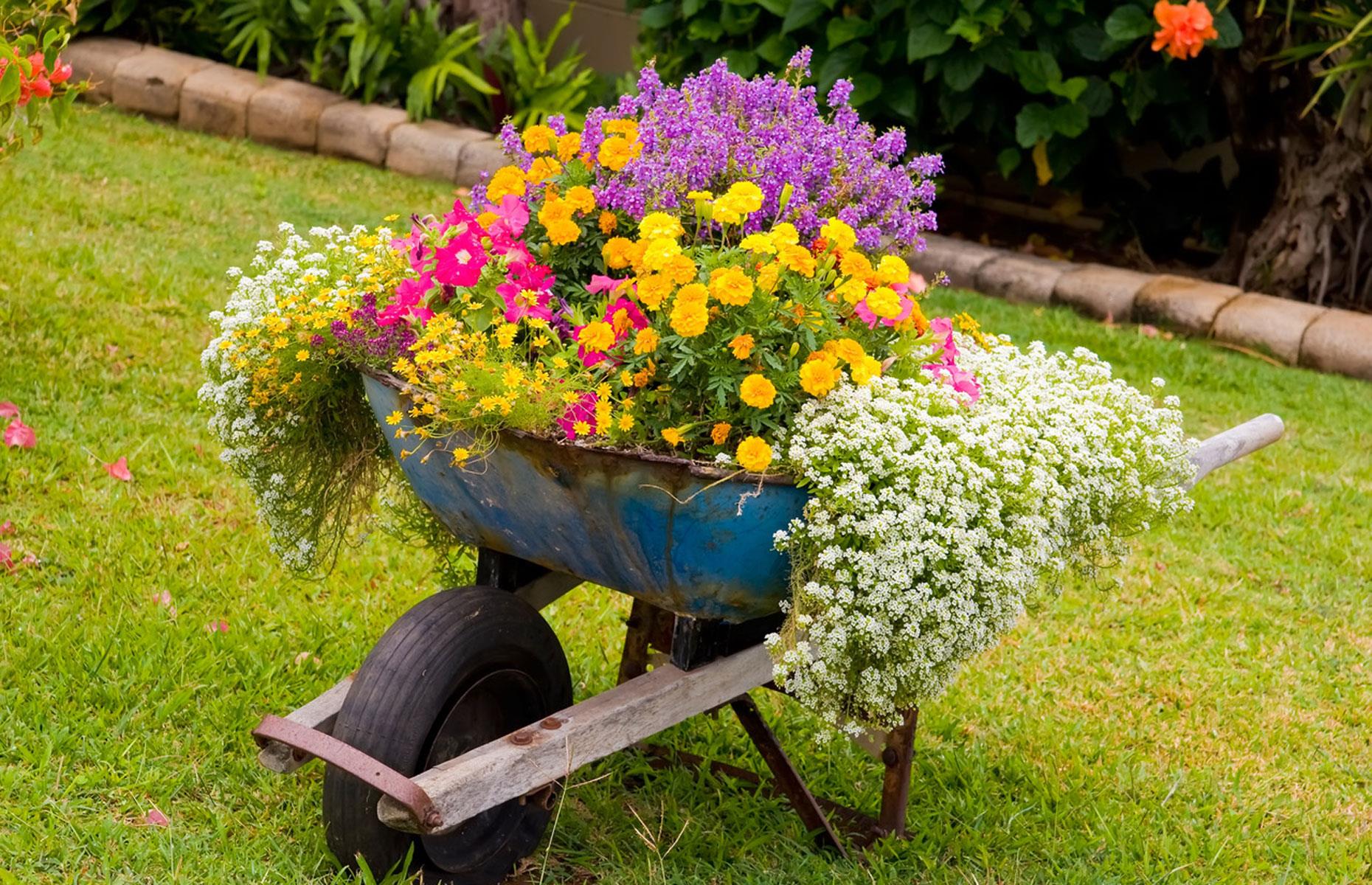 Revamp your outdoor space for less