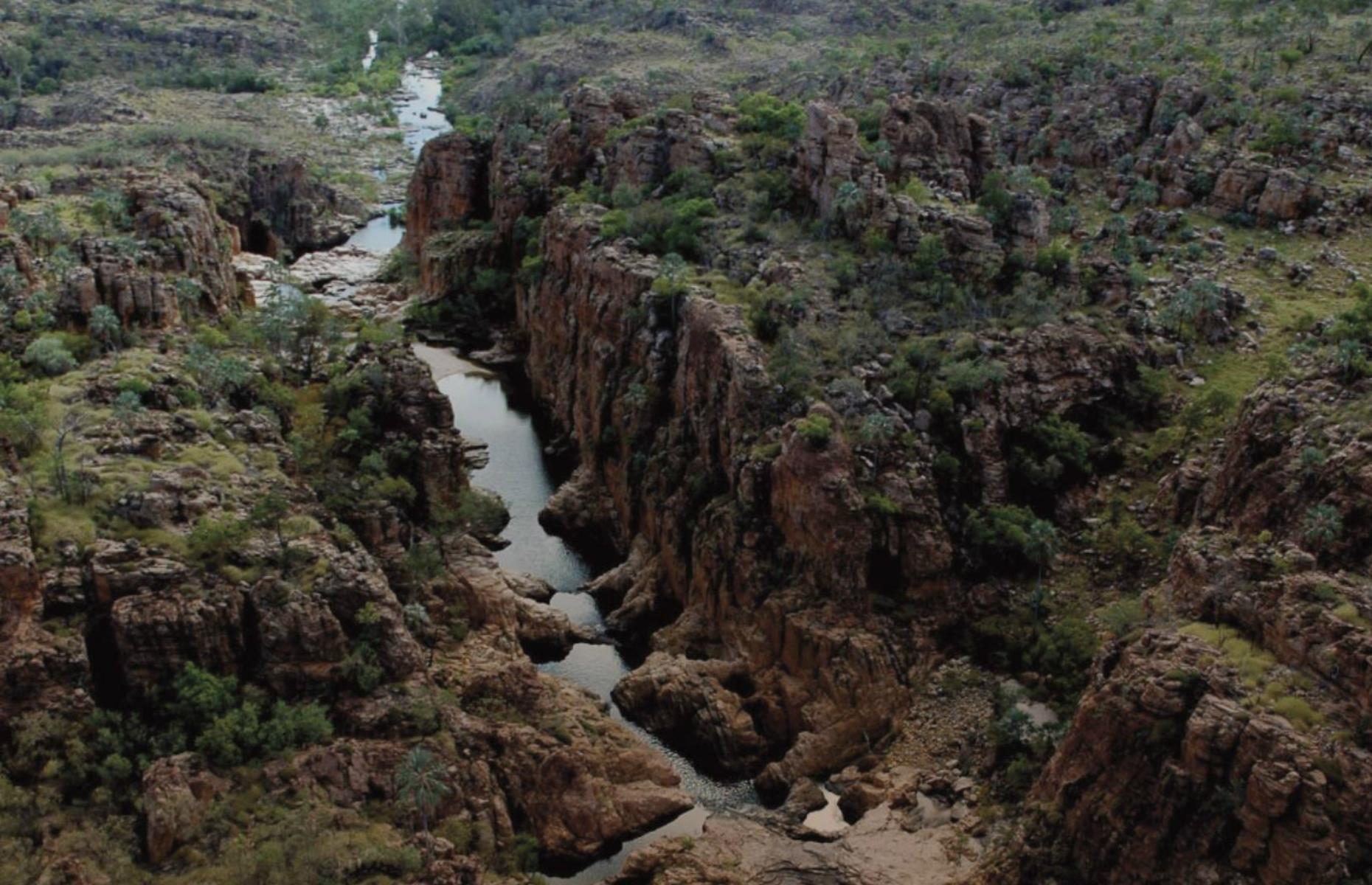 38th. Alex & Julian Burt: 226,342+ hectares