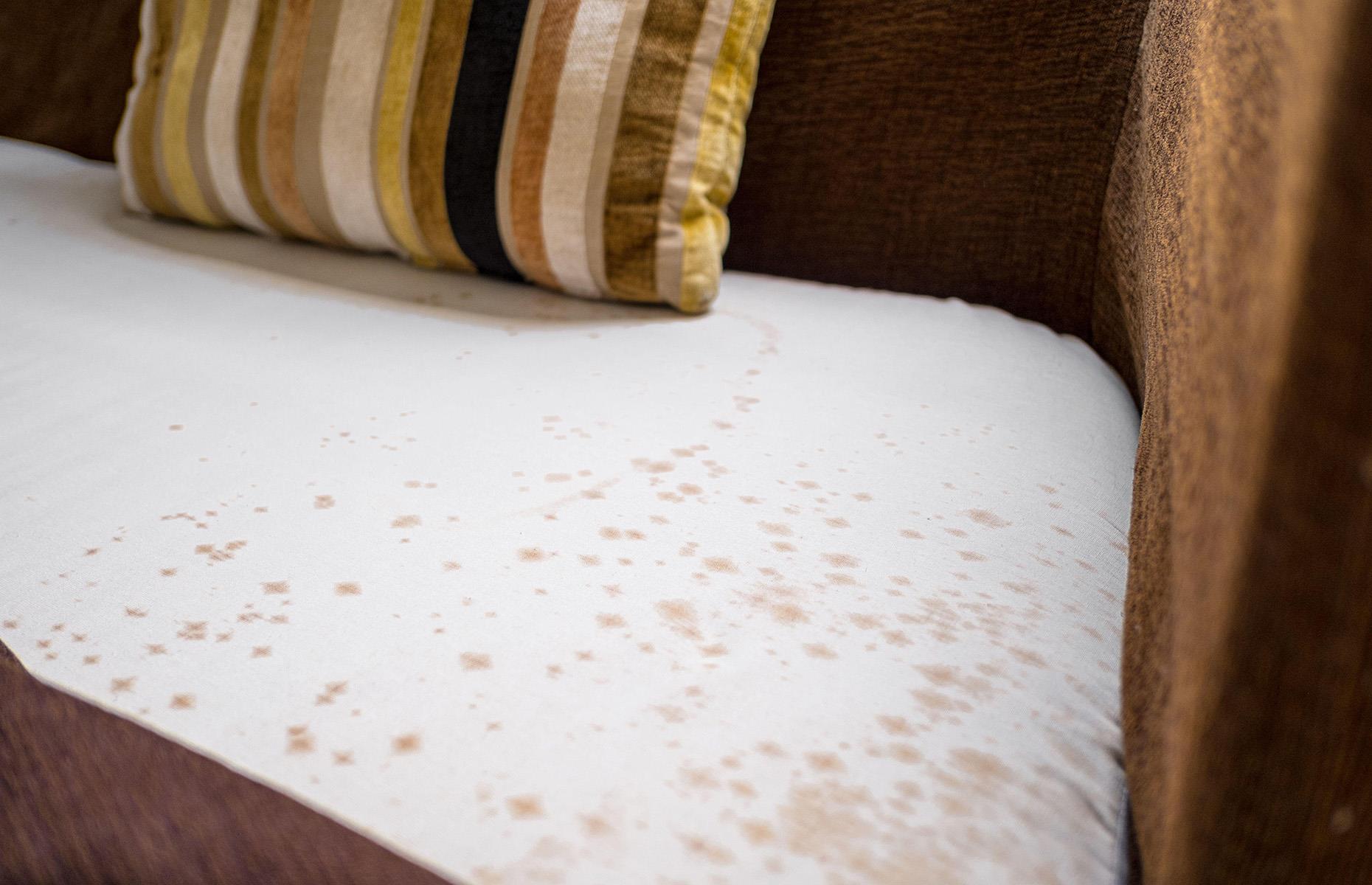 Purging soft furnishings