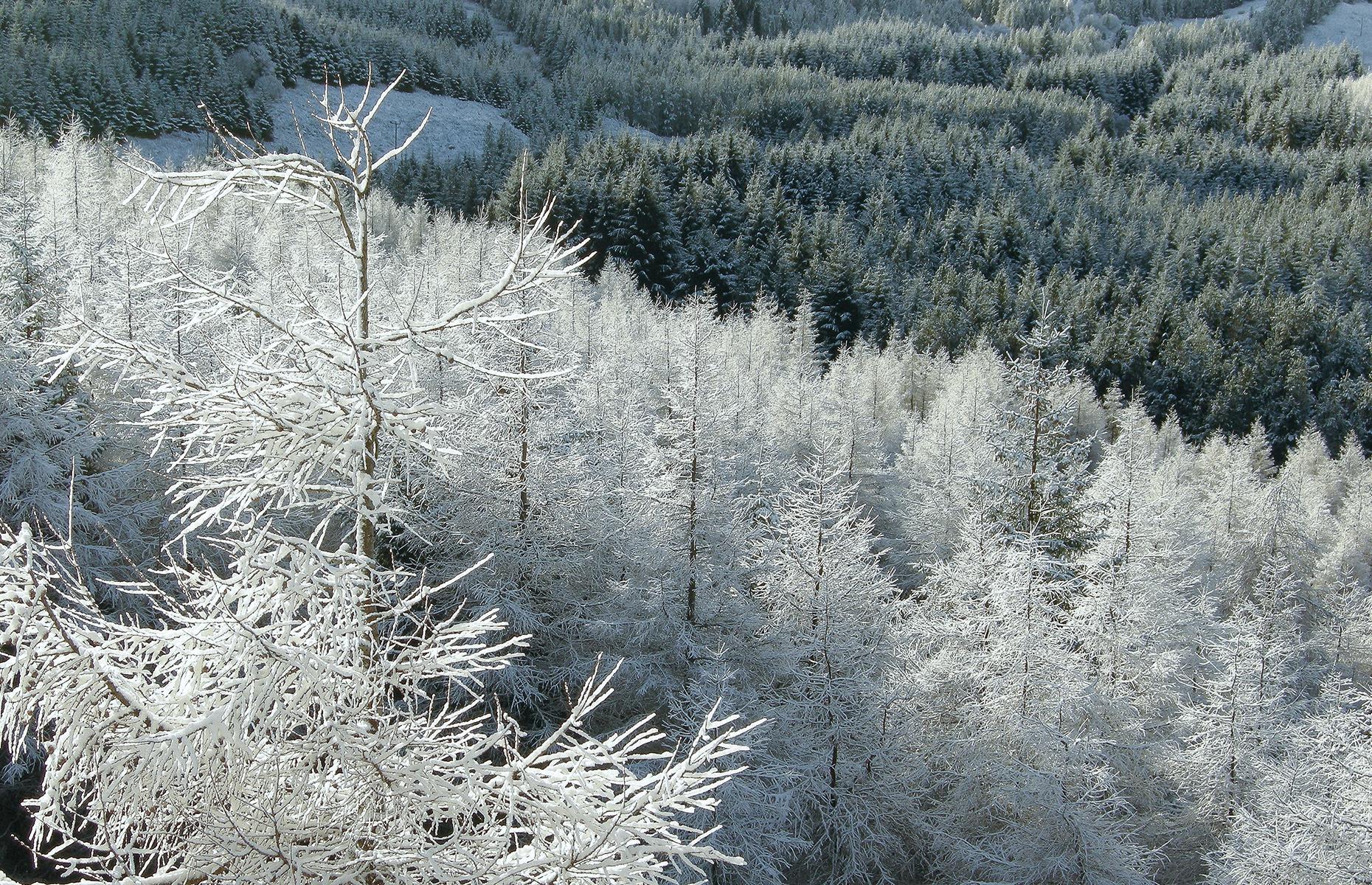 Snow in Scotland
