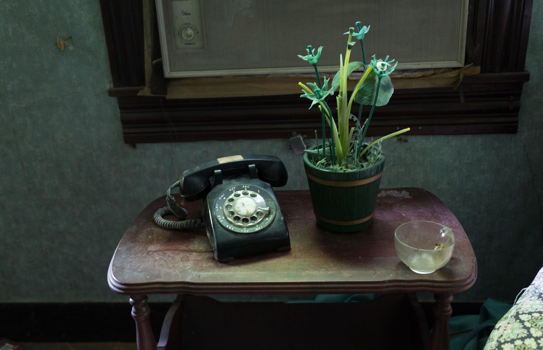 Rotary phone
