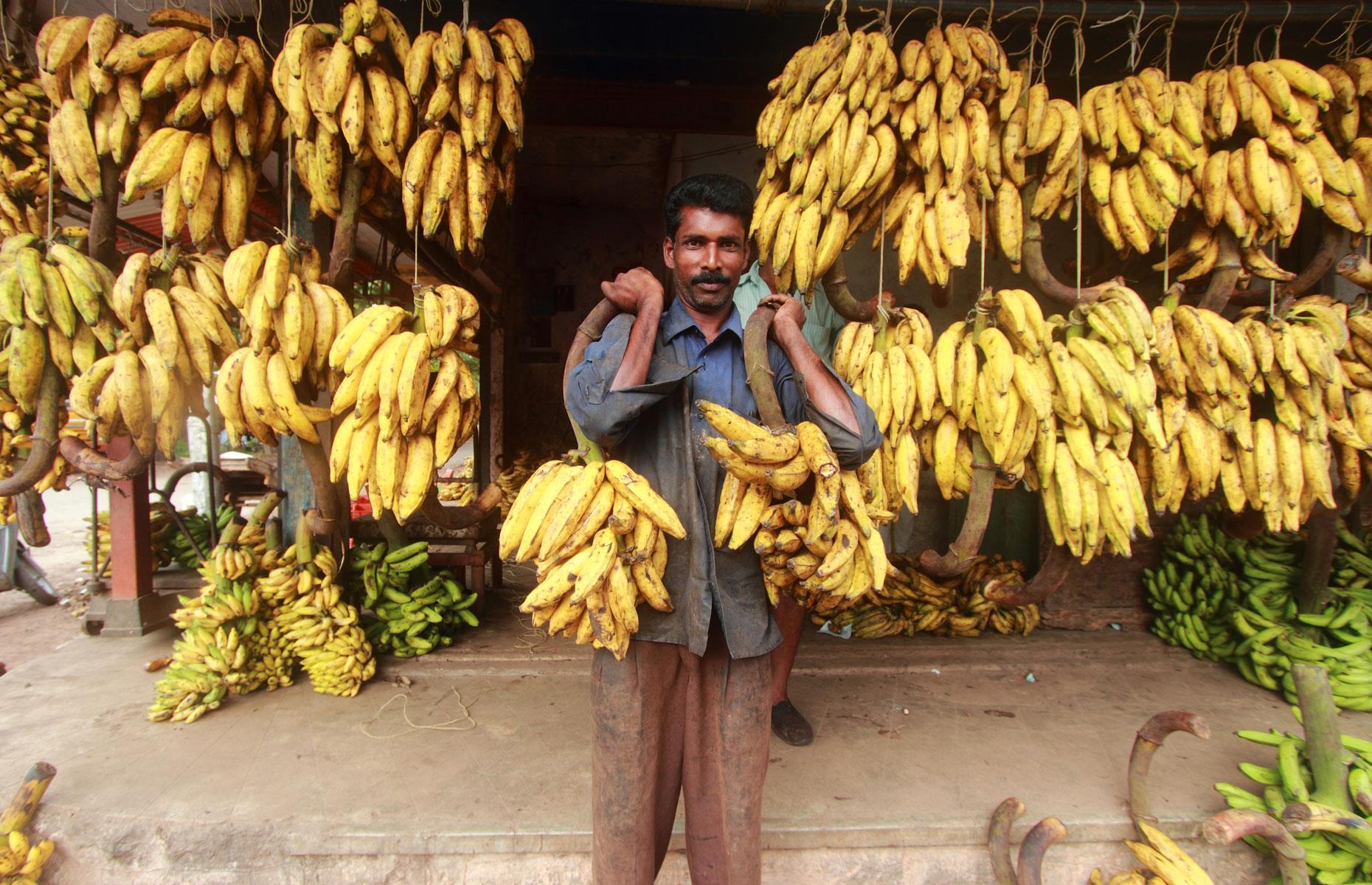 India: $0.73 (£0.55)